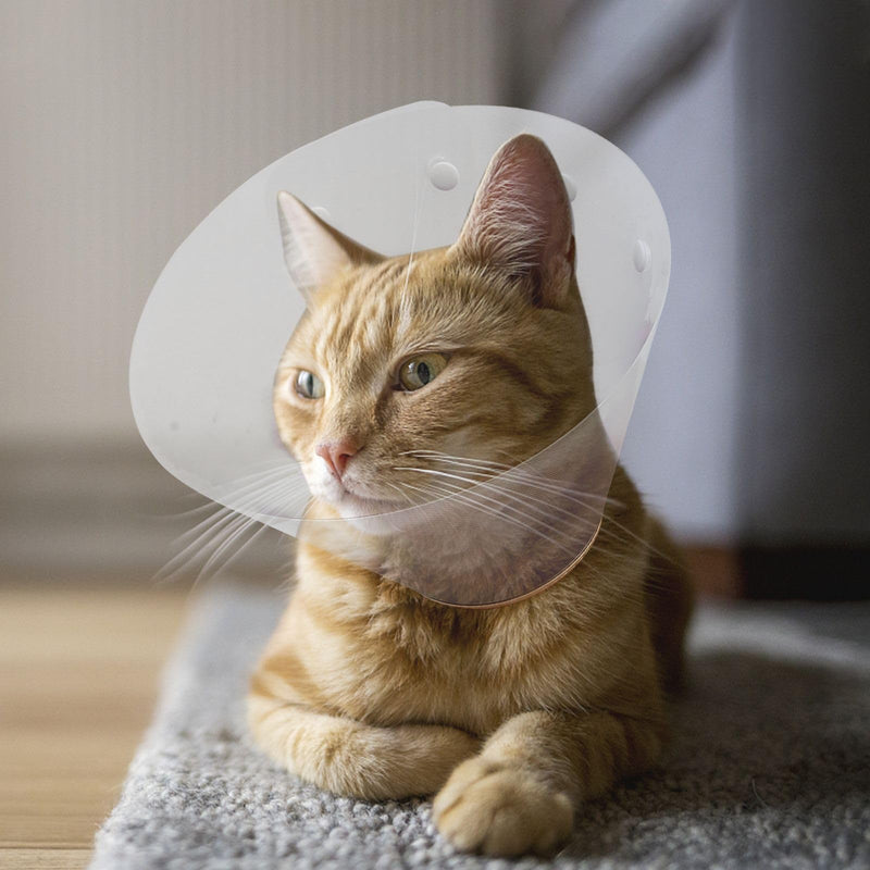 Cabilock Adjustable Pet Recovery Collar for Cats and Dogs, Made of Lightweight Plastic, Anti-Scratch Protection for Skin Irritations and Wounds, Gold-Colored Protective Collar After Surgery