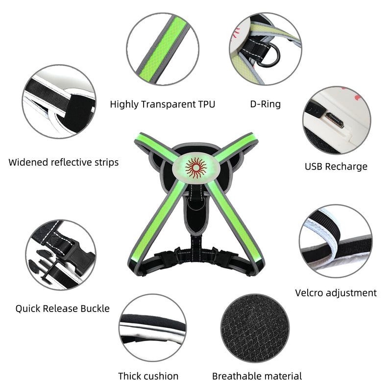 Light Up Dog Harness 2025 LED Dog Harness with RGB Multi-Color Mode & Super Bright TPU Strip, USB Rechargeable, Waterproof, Adjustable Glow in The Dark Harness for Night Walking Safety, Avoid Accident S - PawsPlanet Australia