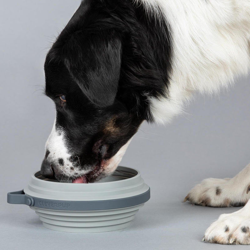 Nomad Collapsible Dog Bowl - Large, 4 Cup Food-Safe Silicone Travel Bowl for Dogs, Portable & Sturdy, Food/Water, Dishwasher Safe - Grey - PawsPlanet Australia