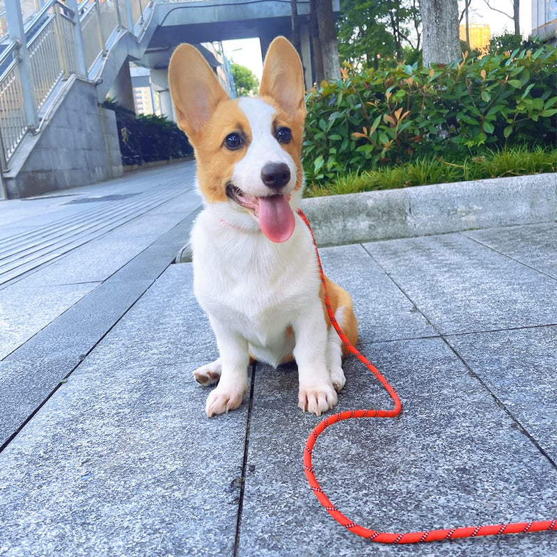 Reflective Long Slip Lead Dog Leash Anti-Choking 12 FT/20 FT/30 FT/50 FT Rope Training Leash for Medium Dogs Small Puppy Pets (30ft, red) 1/3 in x 30ft - PawsPlanet Australia