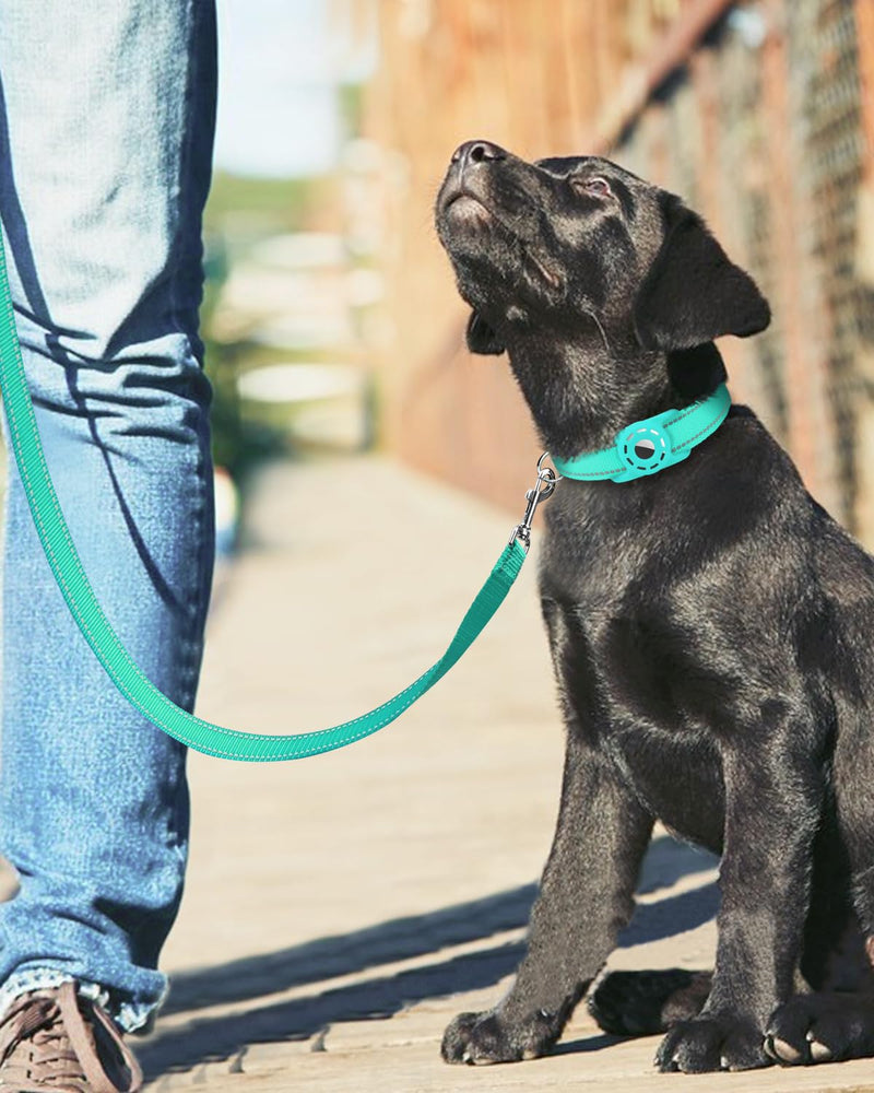 6ft Dog Leash for Small Medium Large Dogs | One-Sided Reflective Nylon | Padded Handle | 3/4 inch Wide | Turquoise 3/4"*6' - PawsPlanet Australia