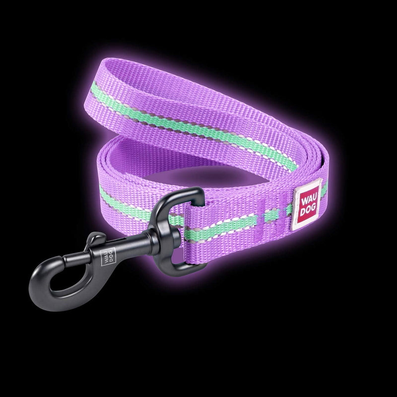 Nylon Reflective Dog Leash 4 Ft - PawsPlanet Australia