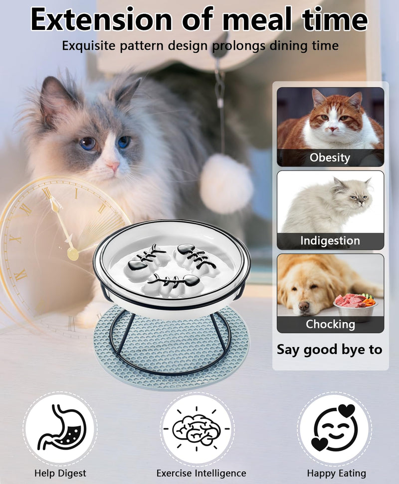 Cat Slow Feeder Bowl, Raised Slow Feeder Cat Bowl for Cat and Dog for Dry and Wet Food, Improve Digestion Design, Anti Vomit, Slow Down Cats Eating Speed Black - PawsPlanet Australia