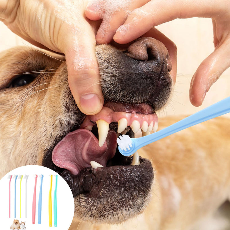 8-Piece Dog Toothbrush Set, 3 Designs, Cat and Dog Toothbrush, Micro Brush Head, Puppy Toothbrush, Soft Bristles, Dental Care Set for Dogs to Remove Plaque (Colour 1)