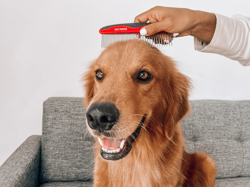 Tuff Pupper Dog Grooming Comb Set | Easily & Safely Remove Matted Knotted Hair | Ergonomic Pet Detangling Combs | No-Slip Safety Handle | Rounded Tips Prevent Scratching | For Poodles & Curly Hair Detangling Combs Set - PawsPlanet Australia