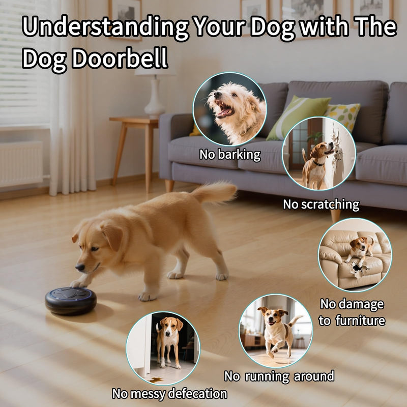 DFQ Wireless Pet Doorbell for Potty Training to Go Outside, Waterproof Pet Bell with 2 Touch Buttons and 1 Receiver, 1000 Feet Range, 60 Melodies & Adjustable Volume, Black 2 Button - PawsPlanet Australia