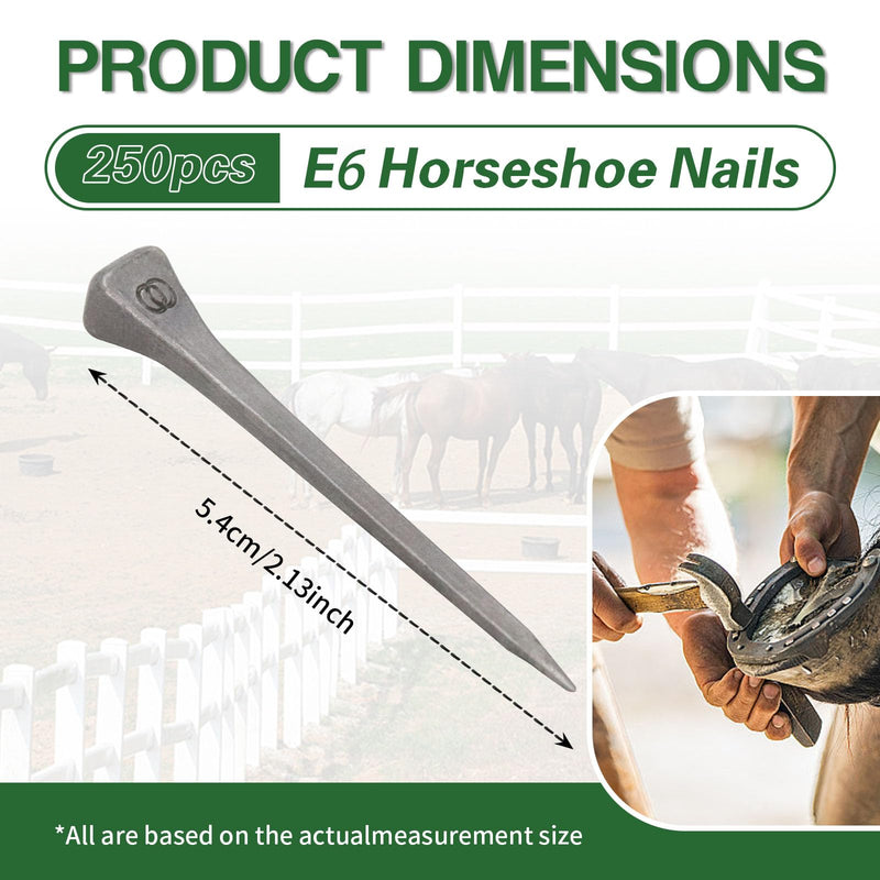 250pcs Horseshoe Nails E6 Stainless Steel,2.1 Inches Easy Carry Hoof Horseshoe Tools,Securing Firmly Tool Accessory for Horse Training Equestrian Sports (E6) - PawsPlanet Australia