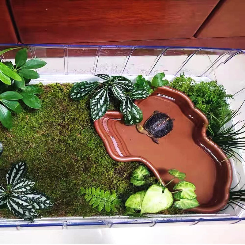 Flushbay Extra Large Reptile Bathing Pool Reptile Feeding Dish Water Bowl with Ramp Aquarium Ornament for Gecko, Snake, Turtle, Bearded Dragon, Lizard Bath (Brown) Brown - PawsPlanet Australia