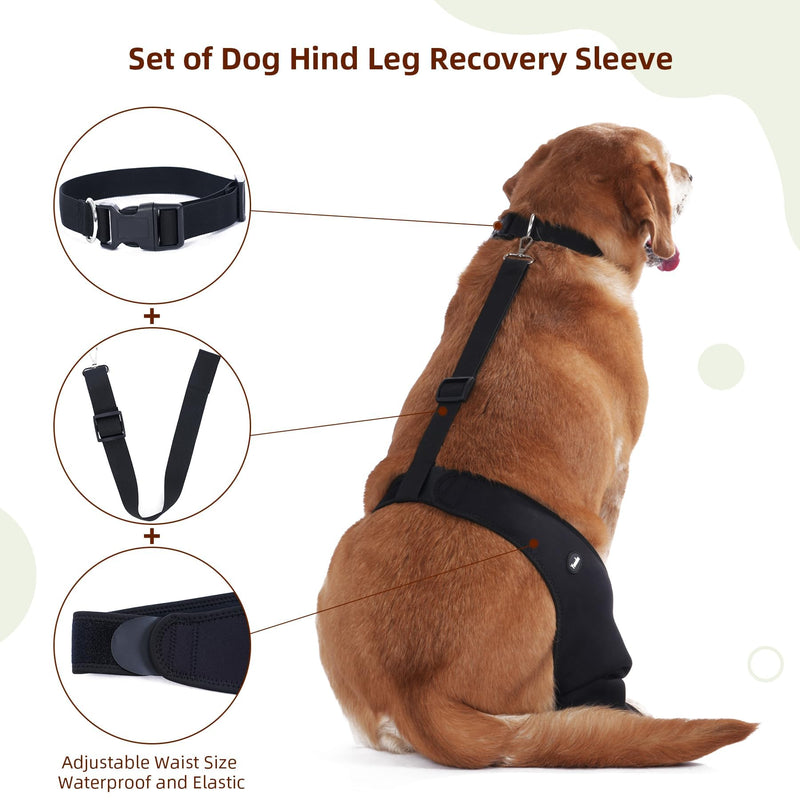Dog Recovery Sleeve Back Leg Waterproof Diving Material,Dog Leg Sleeve to Stop Licking and Biting Firm and Secure, Adjustable Size, 2.5mm Thick Comfortable Alternative to Cone Collars (Small) Small - PawsPlanet Australia