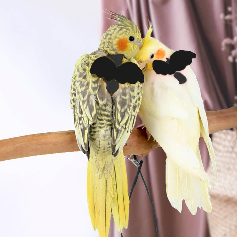 Adjustable Bird Leashes and Harnesses, Bird Nylon Harness with Cute Wing for Parrots, Pet Bird Accessories, Bird Leash for Hang Out, Suitable for Cockatiel, Quaker, Amazon Parrot and Same Size Birds Black - PawsPlanet Australia