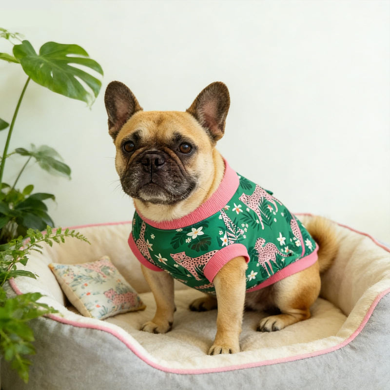 Cat bodysuit, dog bodysuit after surgery, cat and dog bodysuit for surgery clothing, surgical bodysuit for dogs and cats, pet surgical recovery suit for anti-licking, adjustable size (size, XS) XS size
