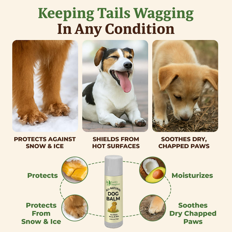 Earth’s Daughter Dog Paw Balm Big 0.56 oz – Organic Paw & Nose Protector with Beeswax, Coconut & Calendula – Itch Relief & Natural Skin Care for Dogs & Puppies – Travel Essential - PawsPlanet Australia