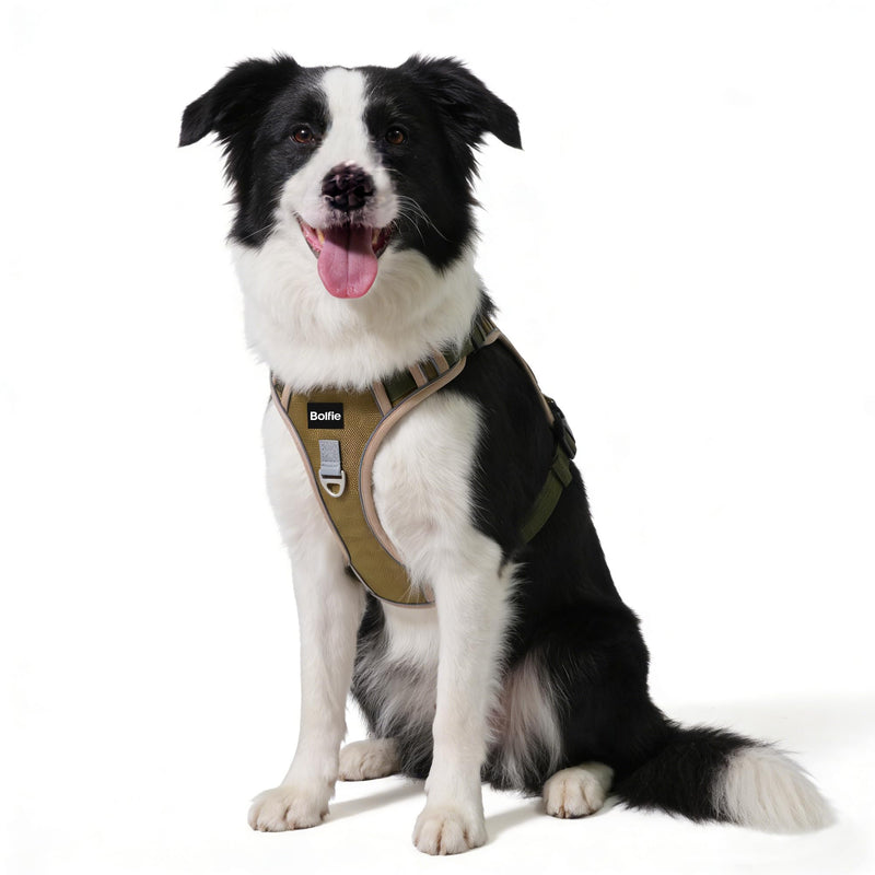 Tactical Dog Harness for Medium Dogs,No Pull Military Dog Vest with Handle,Reflective Heavy Duty Pet Harness for Walking Hiking Training M - PawsPlanet Australia
