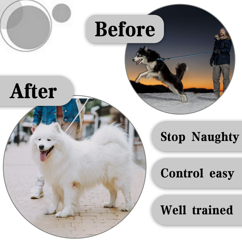 Pinch Collar - Adjustable Prong Collar for Small to Large Dogs with Comfort Rubber Tips (L, 18'-20') L (Neck:18''-20'' Weight：60-90 lbs) Luxury Silver - PawsPlanet Australia