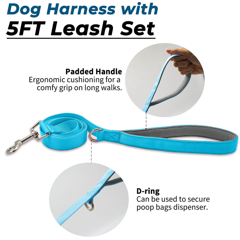 Escape Proof Dog Harness and Leash Set, Lightweight Dog Harness with Lift and Assist Handle, No Pull Reflective Pet Vest for Small Medium Dogs, Ideal for Puppy Walking and Training (Blue, S) Blue (Harness+Leash)