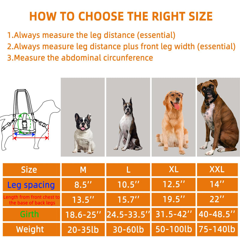 Dog Lift Harness for Large Dogs,Full Body Dog Sling Carrier with Handle,for Up Stairs/Back Legs Support/Dogs Joint Injuries/Arthritis/Nail Clipping L - PawsPlanet Australia