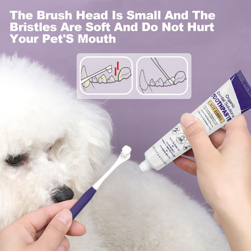 Dental care dog set, toothbrush for dogs and cats, dog toothpaste against tartar, with toothbrush, toothpaste and dog toothbrush, finger toothbrush, removes plaque and bad breath, beef flavor Blue Version