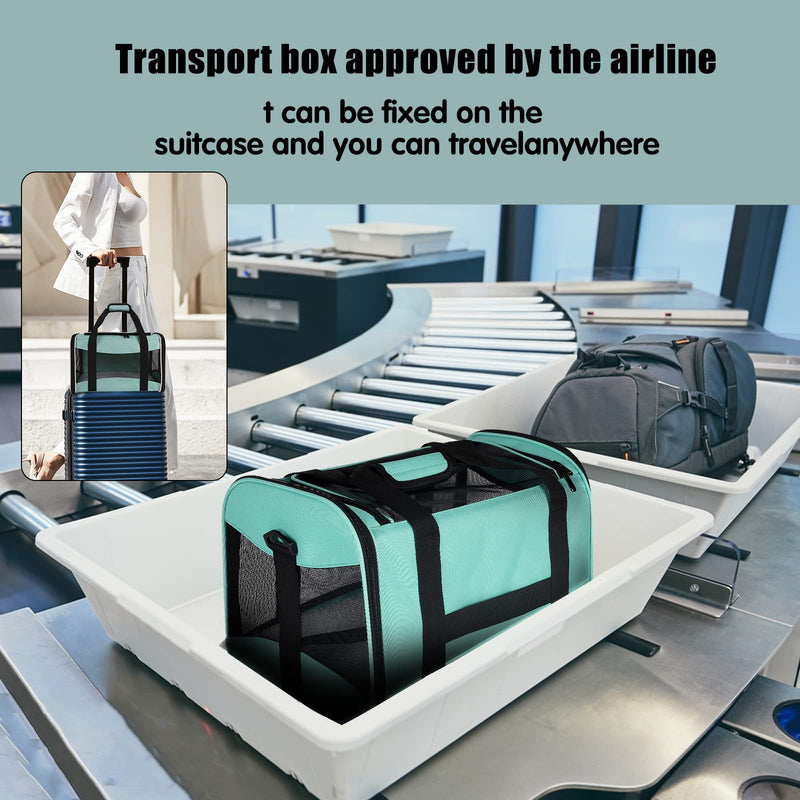Cat Carrying Case Pet Dog Carrier Soft-Sided Cat Bag Airline Approved, Pet Travel Carrier Up to 15 Lbs, Collapsible Cats Carrier Dog Carrier for Medium Small Cats Dogs(17x11x11 Green) 17.0"L x 11.0"W x 11.0"H - PawsPlanet Australia