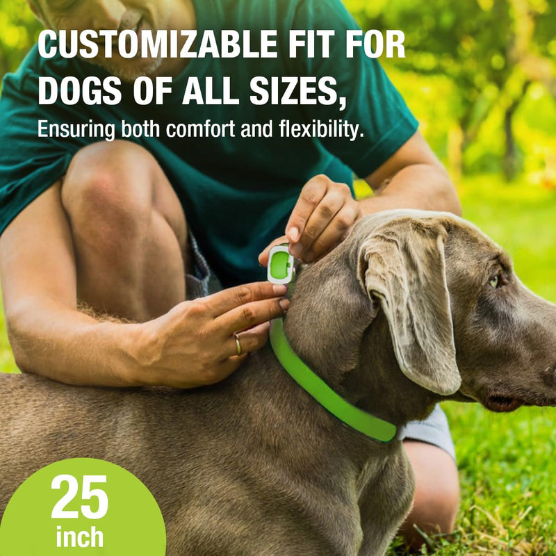 EcoVenger Flea Collars for Dogs & Cats - Flea & Tick Repellent 2-Pack Green. Built-in Pant-Based Formula Strong Repellency Slow Release, Lasting Protection, Pleasant Aroma, Waterproof