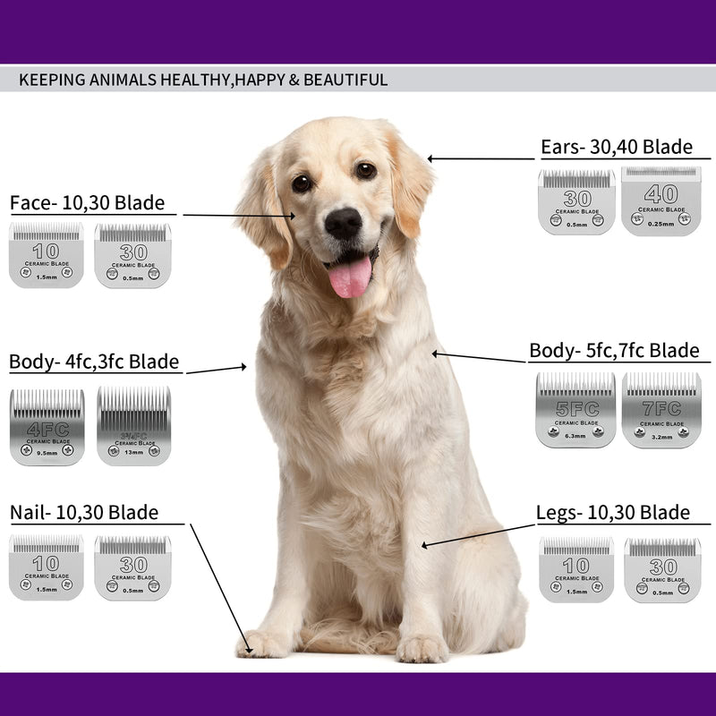 Detachable Pet Dog Grooming Clipper Ceramic Blades,Compatible with Andis Size 5FC 1/4”(6.3mm) Cut Length,Compatible with Oster A5,Wahl KM10 Series Clippers 5FC 6.3mm - PawsPlanet Australia