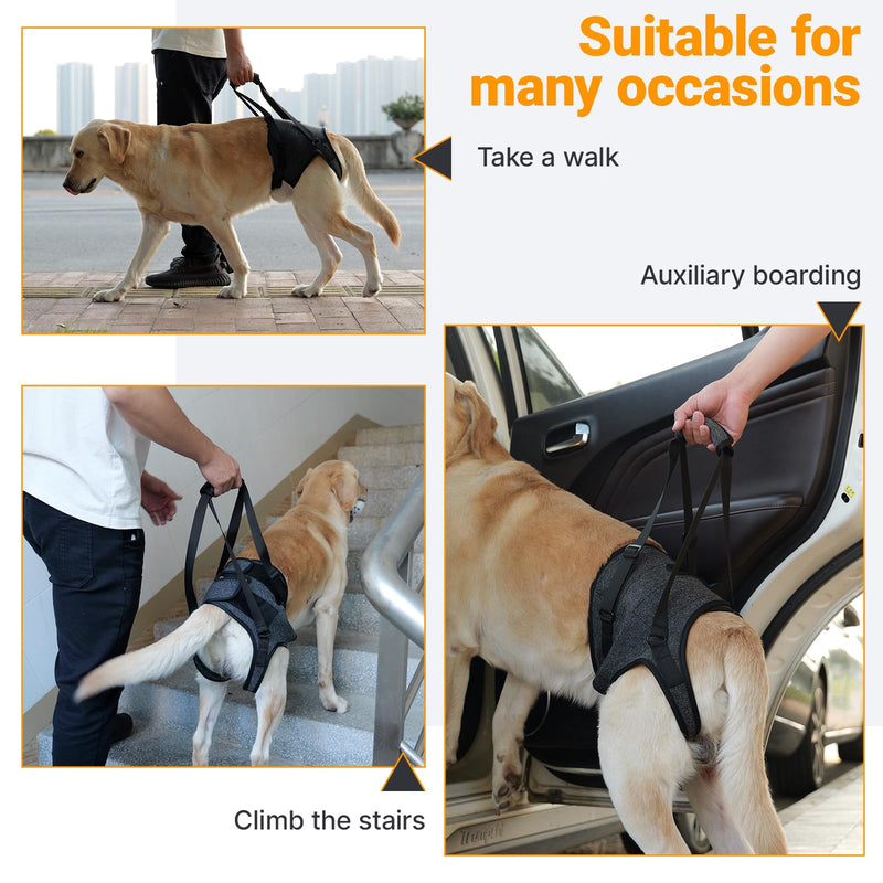 Dog Lifting Harness for Back Legs, Dog Support Harness, Adjustable Walking Aid, Hind Leg Brace for Injured, Elderly Dogs (Dark grey, M) Dark grey