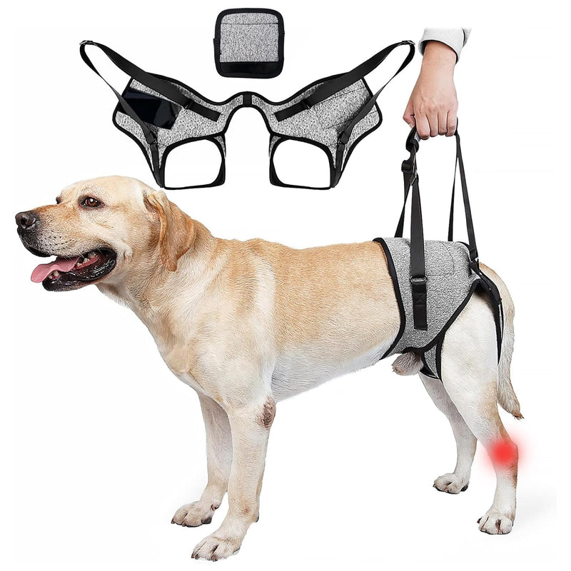 Risipu Dog Lifting Harness For Back Legs Dog Sling Support For Small Medium Large Adjustable Dogs Leg Support With Lift Handle Soft Assistance For Senior, Injured, Arthritic, etc. (Grey, L) Grey