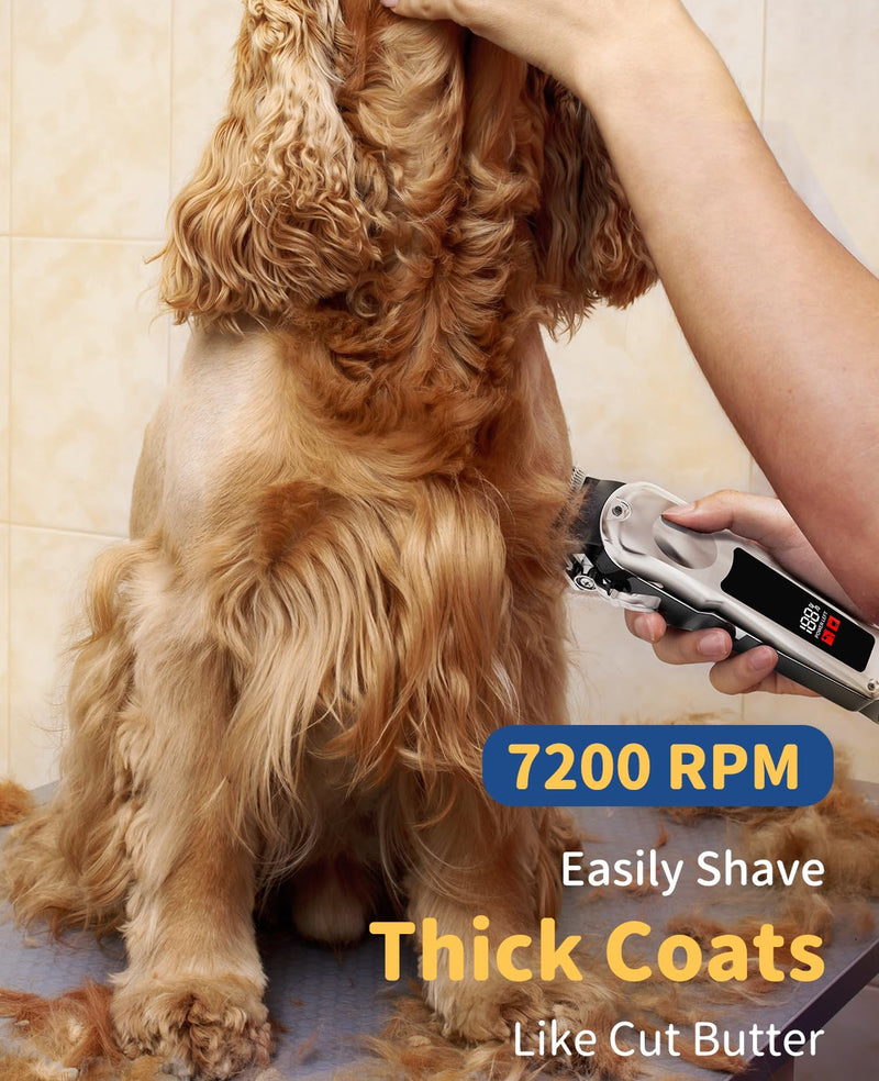 Professional Dog Clippers for Grooming, Low Noise Pet Trimmer Dog Shears for Pet Grooming Kit LED Display Cats Trimmer for Clipper Thick Hair 7200 rpm - PawsPlanet Australia