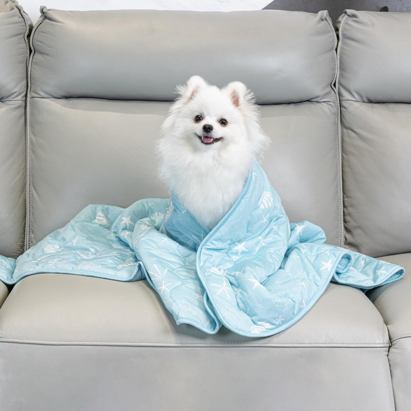 Cooling Blanket for Dogs, 0.35Q-Max Cool Washable and Summer Cooling Pet Mat Blanket, Protector for Couch Bed Cover Sofa for Small to Large Dogs and Cats for Hot Weather (Blue, Small：22.8"x35"x0.2") Blue - PawsPlanet Australia