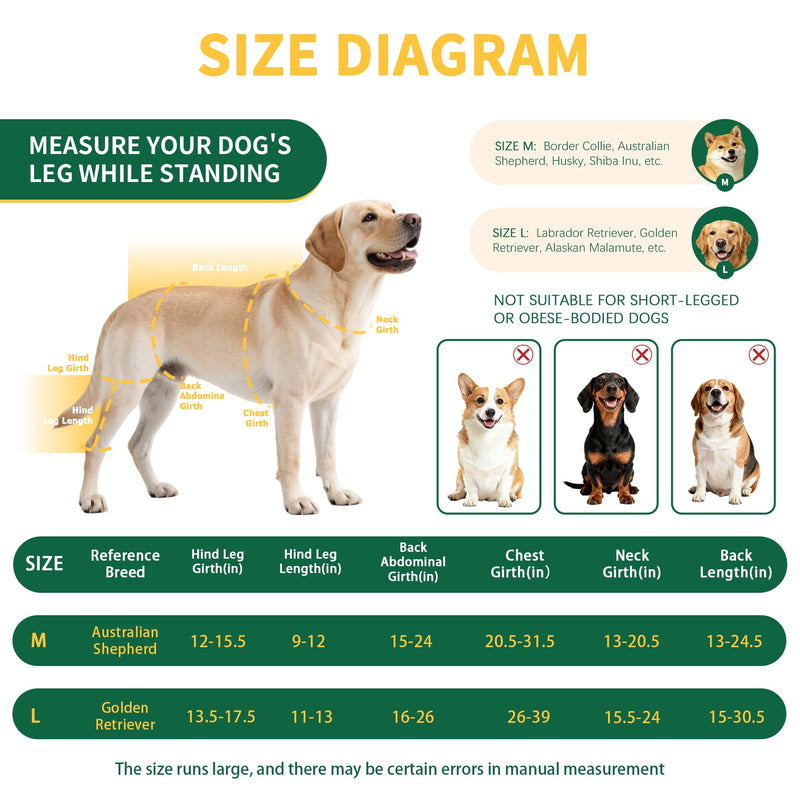 Aeegee Dog Rear Leg Knee Support, Hot/Cold Therapy Care, Effectively Relieves Pain from Arthritis, Hip Dysplasia, and ACL Injuries (Left, L) Large Left Leg