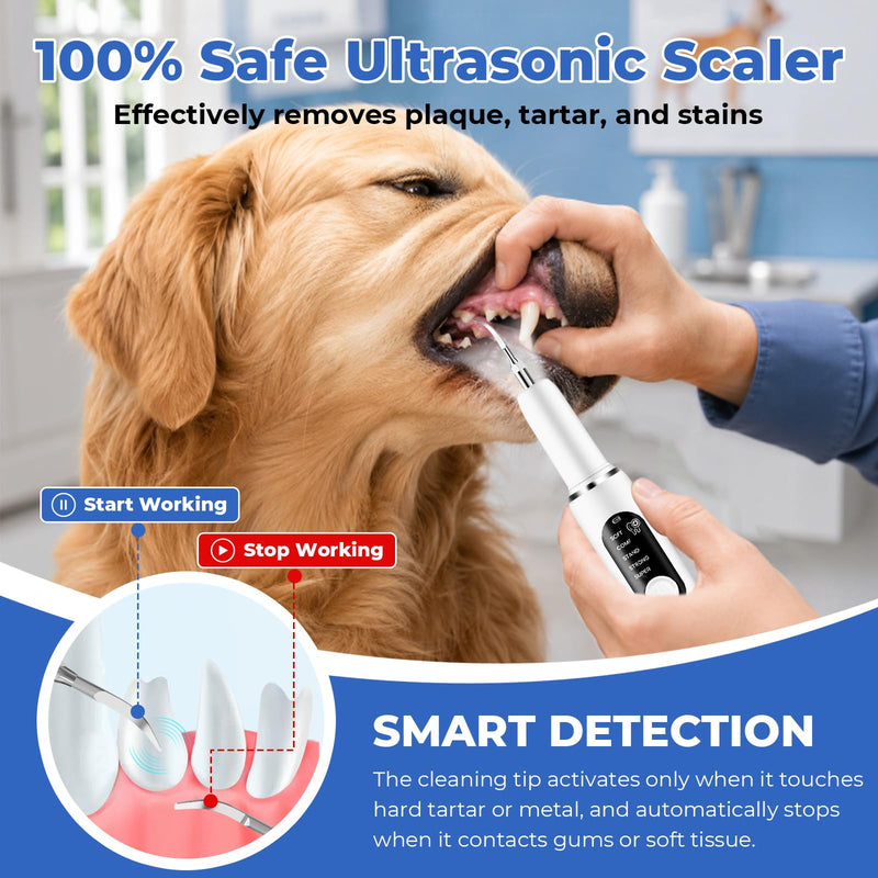 Dog Plaque Remover, Dog Tooth Brushing kit for Tartar and Stains, 5 Modes, LED Light, Pet Ultrasonic Cleaner with Toothbrush & 4 Cleaning Head, Suitable for Dogs and Cats