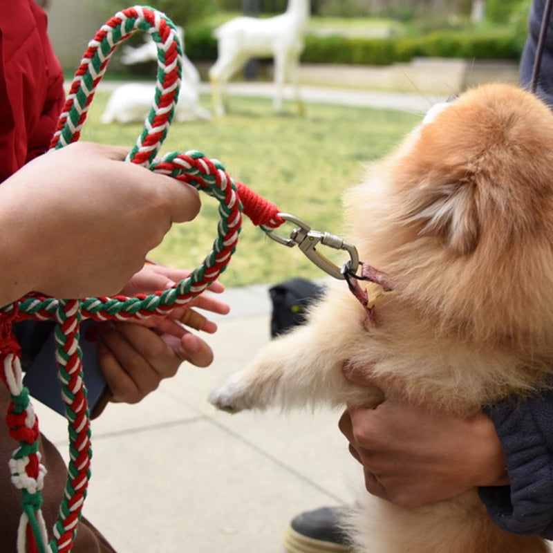 KUDOS Braided Cotton Dog Leash – Secure Lock & Comfy Handle, Handwoven Rope in Red Green White, 5.2ft Leash with Floral Accent for Small to Large Dogs, Christmas Style Holiday Cheer