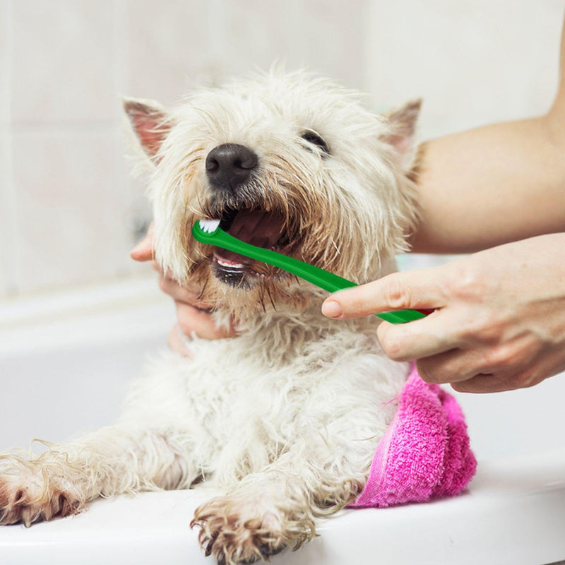 Pack of 6 Pet Toothbrushes and 6 Pieces Transparent Finger Toothbrushes, Teeth Cleaning Tools, Dental Care Supplies, Pet Accessories