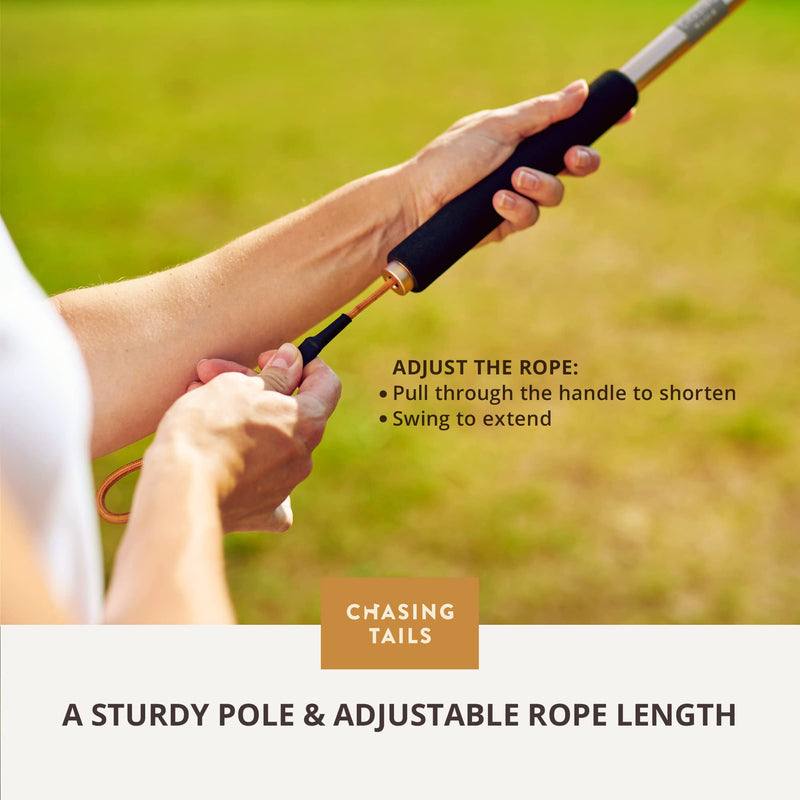 Flirt Pole for Small or Medium Dogs - 26 Inch with 70 Inch Rope and Two Toys for All Breeds - Spring Pole for Dogs, Dog Flirt Pole for Large Dogs, Dog Catcher Pole Pole - 26 Inch - PawsPlanet Australia