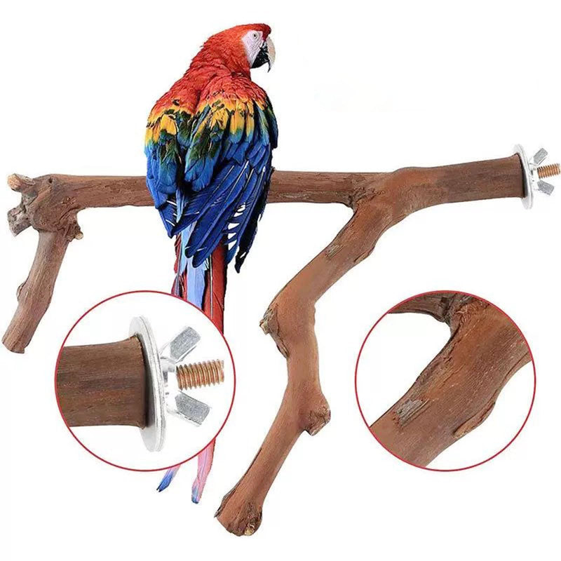 Woohome 5 PCS Natural Grape Stick Natural Wooden Parrot Stand, 3 Grape Wood Perch, 2 Stand, Paw Grinding Fork Bird Perch Stand for Cage Accessorie, Cockatiels, Small Birds WDM-NZG-006 - PawsPlanet Australia