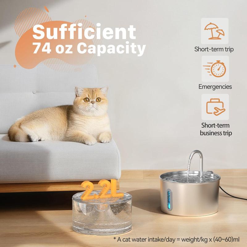 Cat Water Fountain Stainless Steel: 74oz/2.2L Cat Fountain for Drinking - Pet Water Fountain for Cats Inside - Automatic Dog Water Dispenser Bowl Feeding & Watering Supplies 6 Filters 3 Sponges 74oz Fountain + 6 Filters + 3 Sponges - PawsPlanet Australia