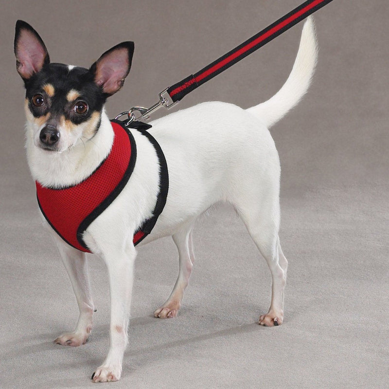 Casual Canine Mesh Dog Harness, X-Small, Red xs - PawsPlanet Australia
