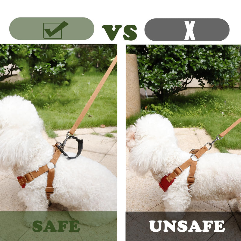 Dog Safety Clip for Prong Collar, Waterproof Leash Backup Clip Connector, Dual Clasps Rotating Buckle for Pinch Collar (2 Pcs) 2 Pcs Leash Black