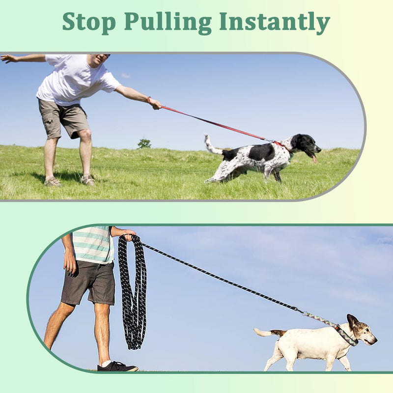 Mayerzon Dog No Pull Collar, Vintage Slip Prong Collar for Large Medium Small Dogs, Personalized Dog Pinch Collar with Quick Release Buckle for Walking Training Festival Large,2.5mm,25-Inch,18.5-23.5"Neck - PawsPlanet Australia