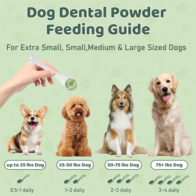 Dog Teeth Cleaning Powder, Dog Dental Powder, Dog Dental Care, Targets Tartar & Bad Breath & Reduces Plaque, Dental Powder for Dog Teeth Cleaning, Green - PawsPlanet Australia