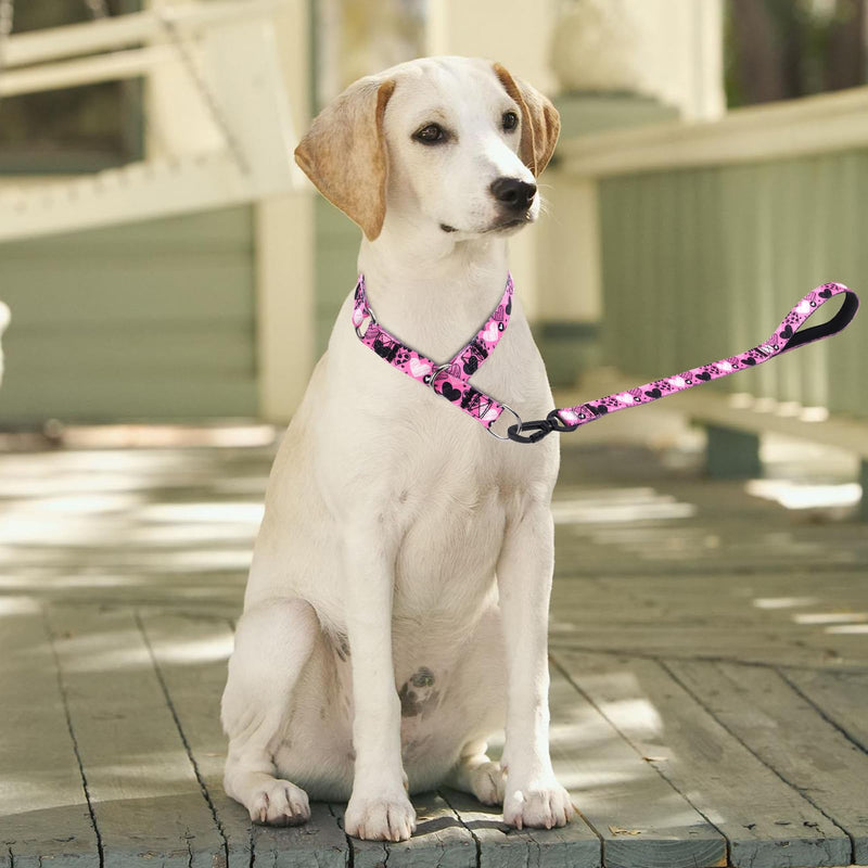 Dog Collar and Leash Set, Slip Collar with Stop Ring, No Pull Martingale Collar for Dogs, for Small, Medium, Large Dogs (NO3, M) NO3 - PawsPlanet Australia