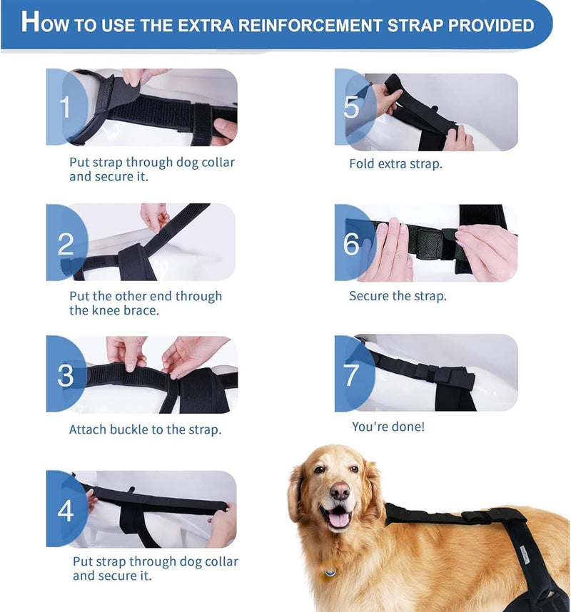 Dog Knee Brace - Knee Cap Dislocation for ACL, CCL, Cruciate Ligament Injury, Joint Pain and Muscle Sore, Adjustable Dog Rear Legs Bracer with Metal Side Stabilizers (Black, Medium-Right) - PawsPlanet Australia