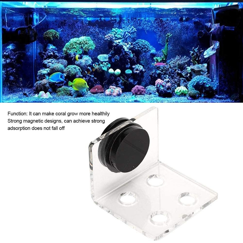 Aquarium Fish Stand, Frag Rack Acrylic Magnetic Frag Holder Support SPS Button Bracket Base for Fish Aquarium(4 Hole ) 4 Hole