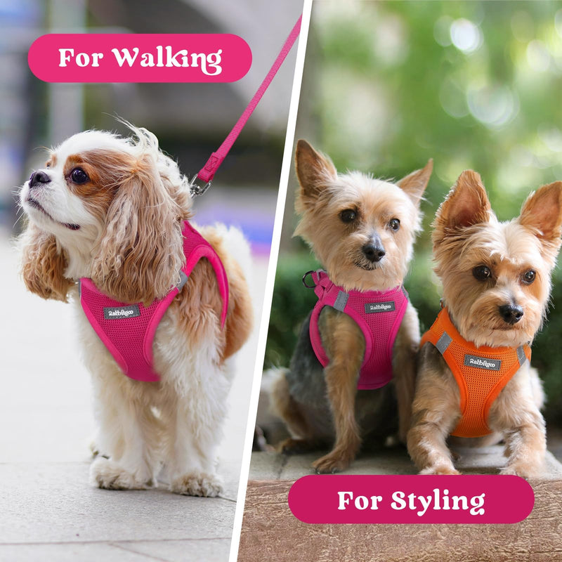 rabbitgoo Small Dog Harness, Step-in Soft Mesh Puppy Vest with Safety Buckle, Breathable Reflective Pet Harness for Small Sized Dogs, Rose Red S S(Chest:15.1"-16.5") - PawsPlanet Australia