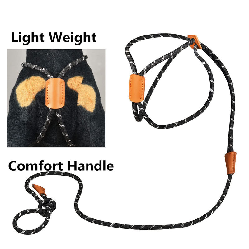 Harness Lead No Pull Dog Harness and Leash Set, Slip Leads for Dogs, Leash for Medium Dogs, All in One Dog 3-in-1, 5ft Pet Training Leads, One-Piece Cushioned Rope Design black - PawsPlanet Australia
