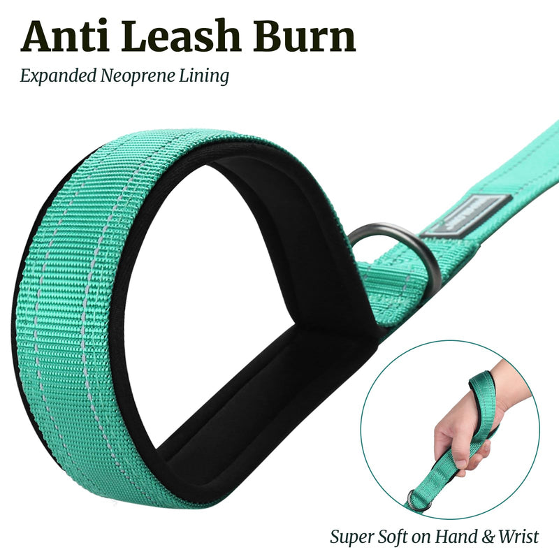 VIVAGLORY Dog Leash Dailyx Pet Leash with Soft Padded Handle for Training & Walking, Heavy Duty & Double Layer Nylon for Pet Puppy, 5ft x 1in, Green Leash (5 ft. x 1 in.)