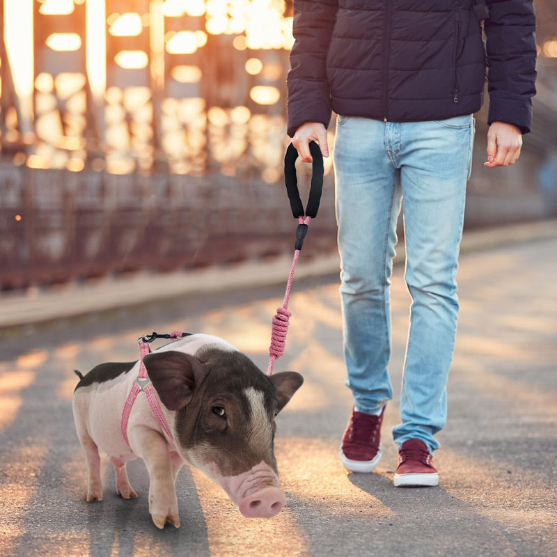Mini Pig Harness, Adjustable Small Pig Harness with Leash Infinity Style Lead and Soft Foam Handle for Small to Medium Pet Pigs Walking Training Jogging (Pink, M) Pink - PawsPlanet Australia