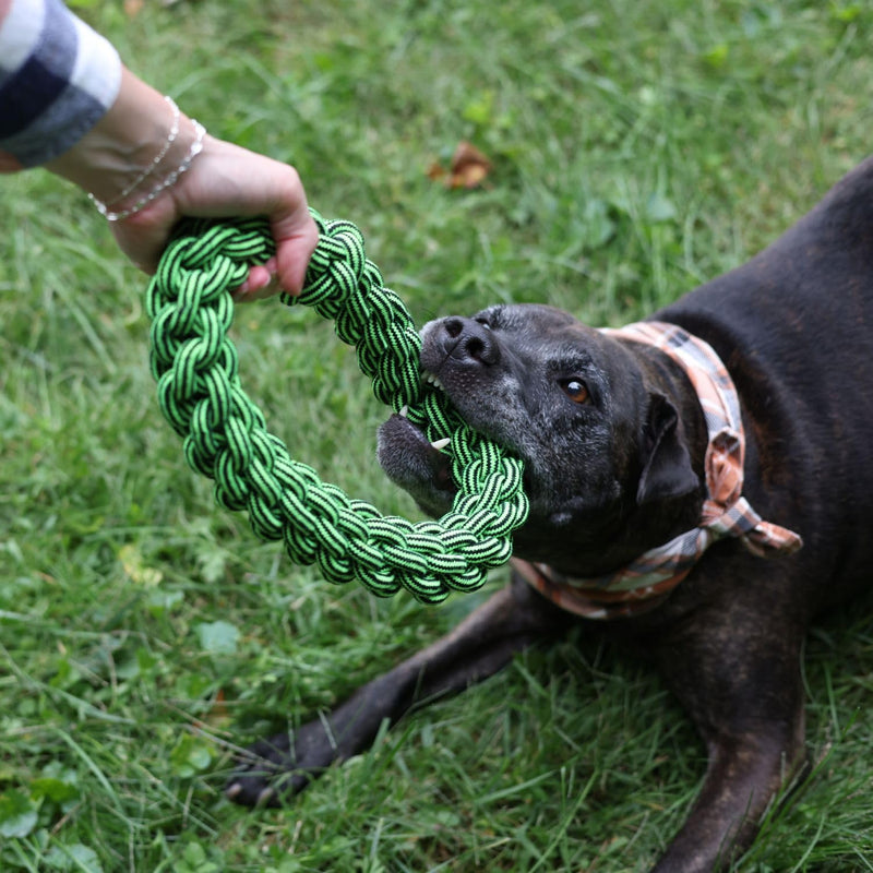 Jolly Pets TIK-Tak-Tugzz Small/Medium O Rope Dog Toy - PawsPlanet Australia