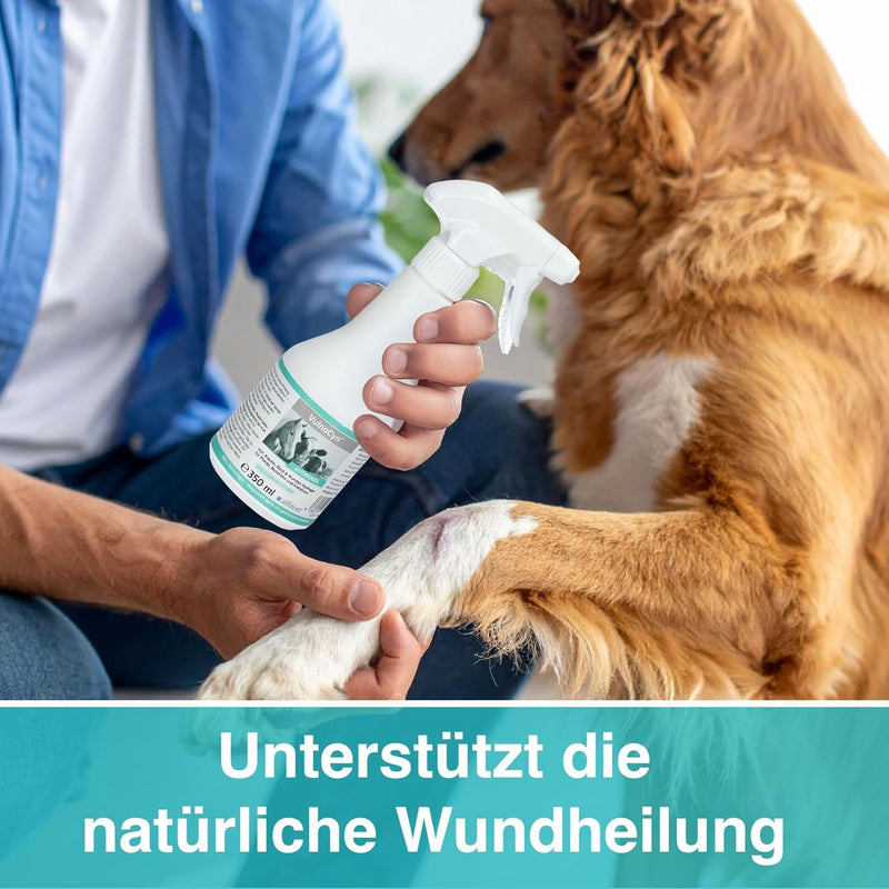alfavet VulnoCyn Hydrogel 350 ml - Skin & Wound Spray for Small Animals, Horses & Farm Animals - Wound Spray Against Bacteria, Viruses & Fungi - Hydrogel with Long-Lasting Effect, pH Neutral & Alcohol Free