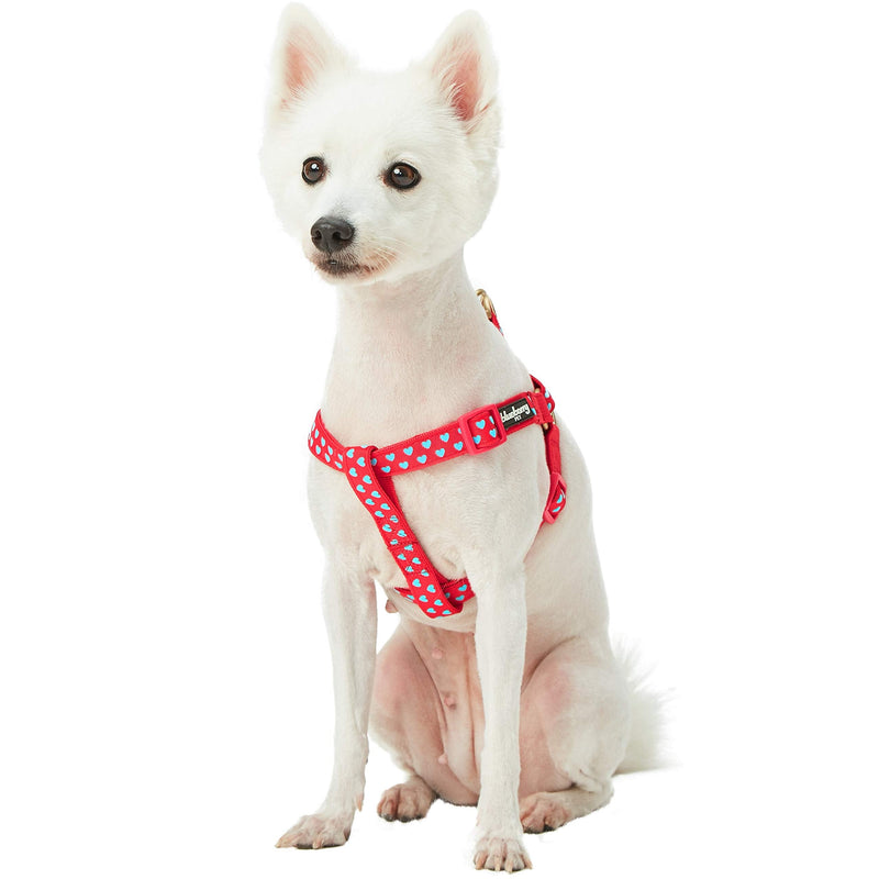 Blueberry Pet Step-in Dog Harness Velvety Heart Flocking Valentine’s Day Adjustable Harnesses for Medium Dogs, Lust Red, Chest Girth 20" - 26" Flocking Print - Lust Red - PawsPlanet Australia