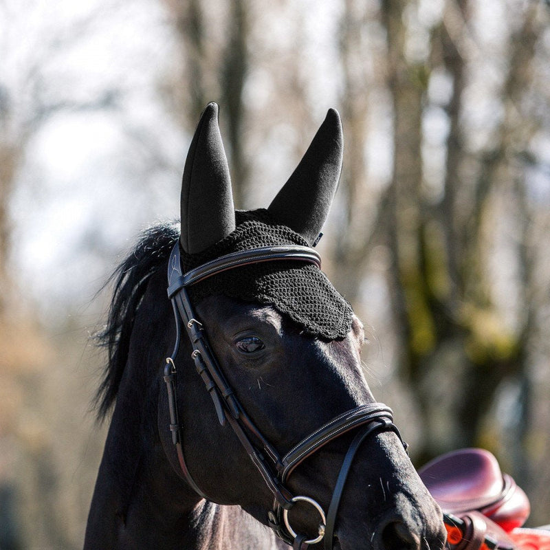BVX Raxus Ear Net - Black - Cob - PawsPlanet Australia
